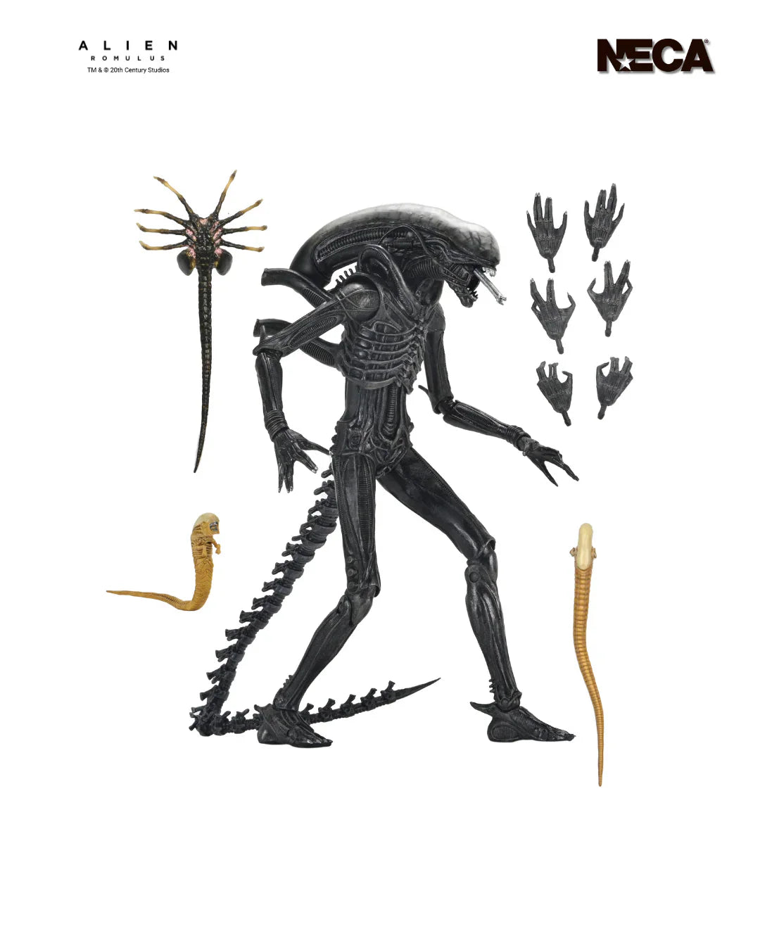 Alien: Romulus Action Figure Ultimate Xenomorph XX121 18 cm