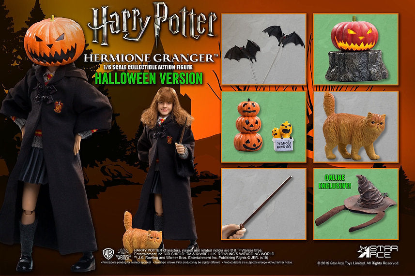Harry Potter: Hermione Granger Sorcerer's Stone Halloween Ver. Limited edition 1/6