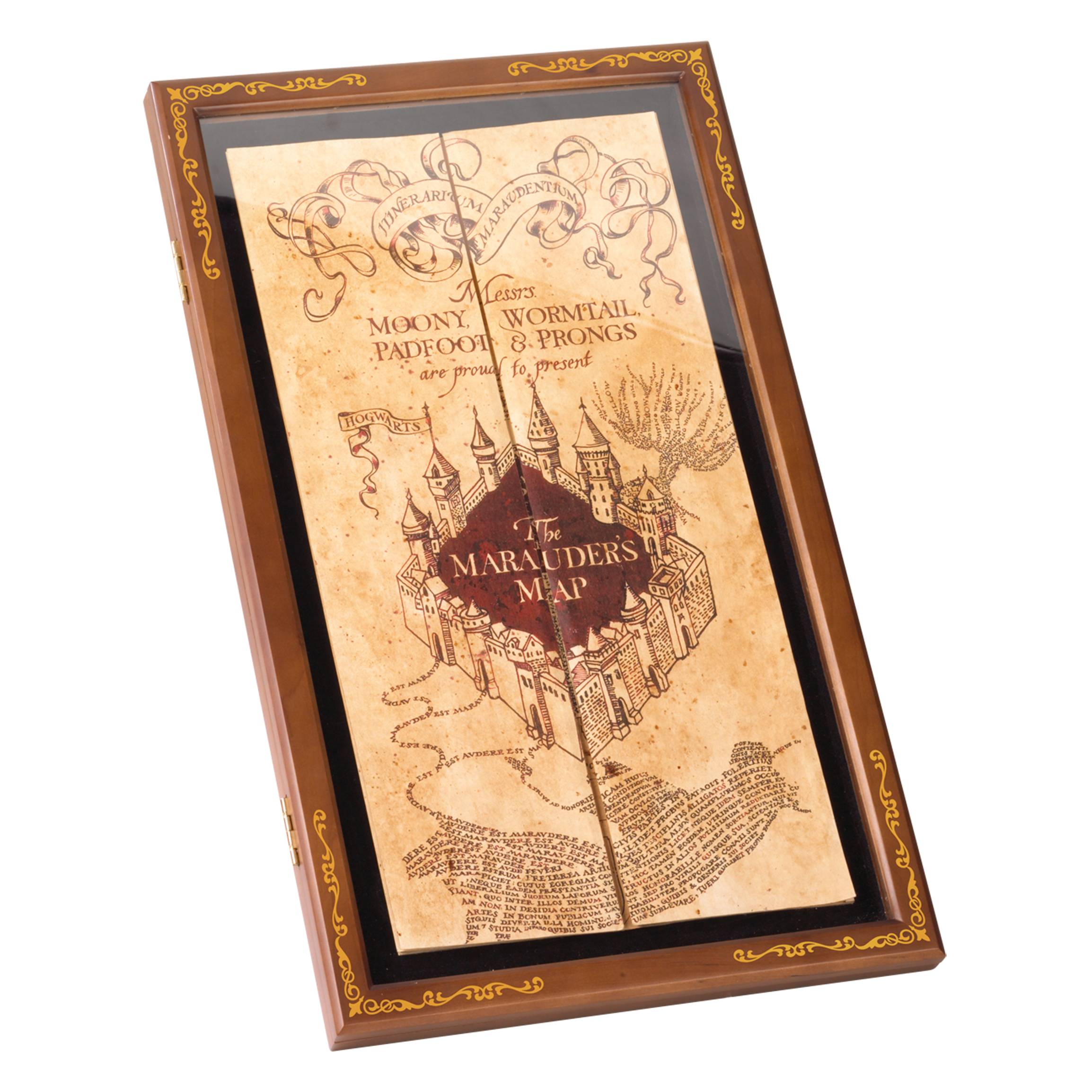 Harry Potter: Marauder’s Map Display Case - Espositore Mappa Del Malandrino