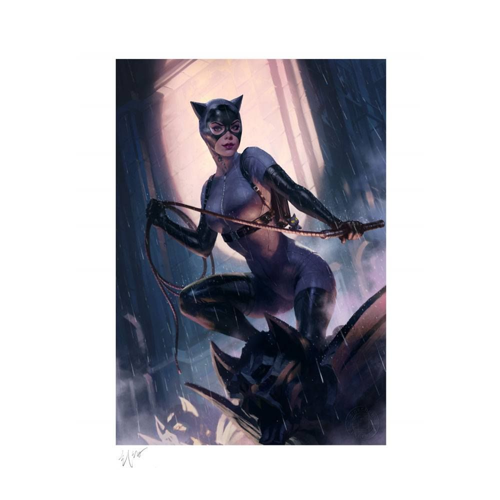 DC Comics: Catwoman Variant Unframed Art Print