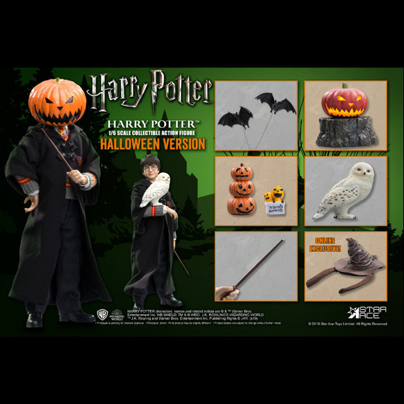 Harry Potter: Harry Potter Sorcerer's Stone Halloween Ver. Limited edition 1/6