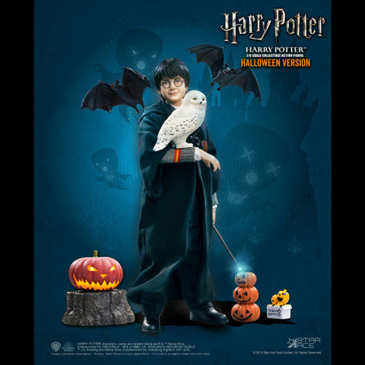 Harry Potter: Harry Potter Sorcerer's Stone Halloween Ver. Limited edition 1/6