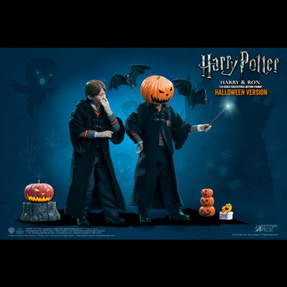 Harry Potter: Harry Potter Sorcerer's Stone Halloween Ver. Limited edition 1/6