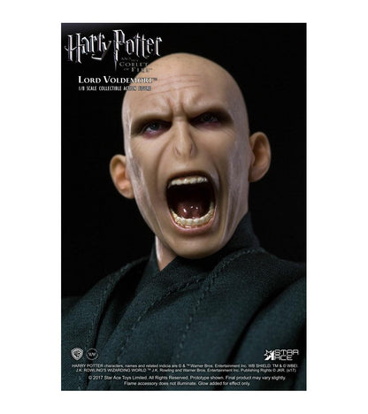 Harry Potter: Dementor + Voldemort 1:8 2 Pck