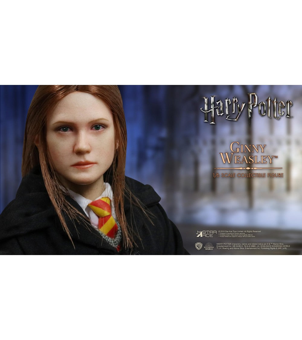 Harry Potter: Ginny Weasley 1:6