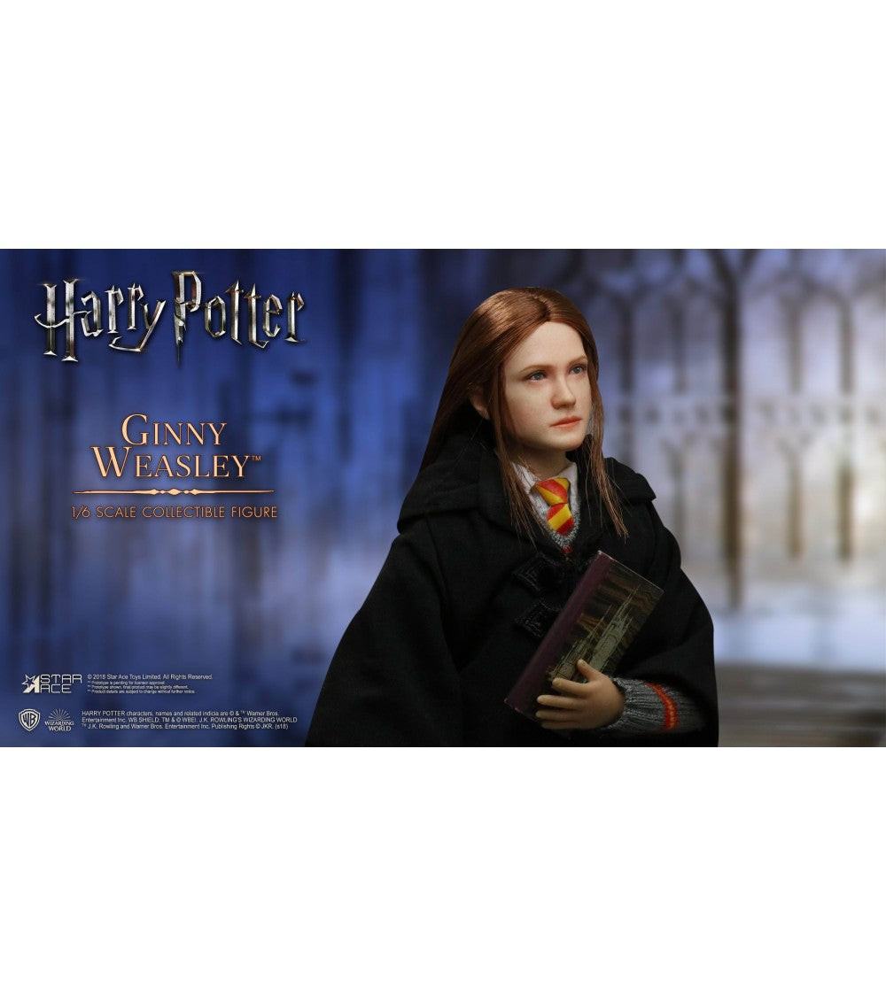 Harry Potter: Ginny Weasley 1:6