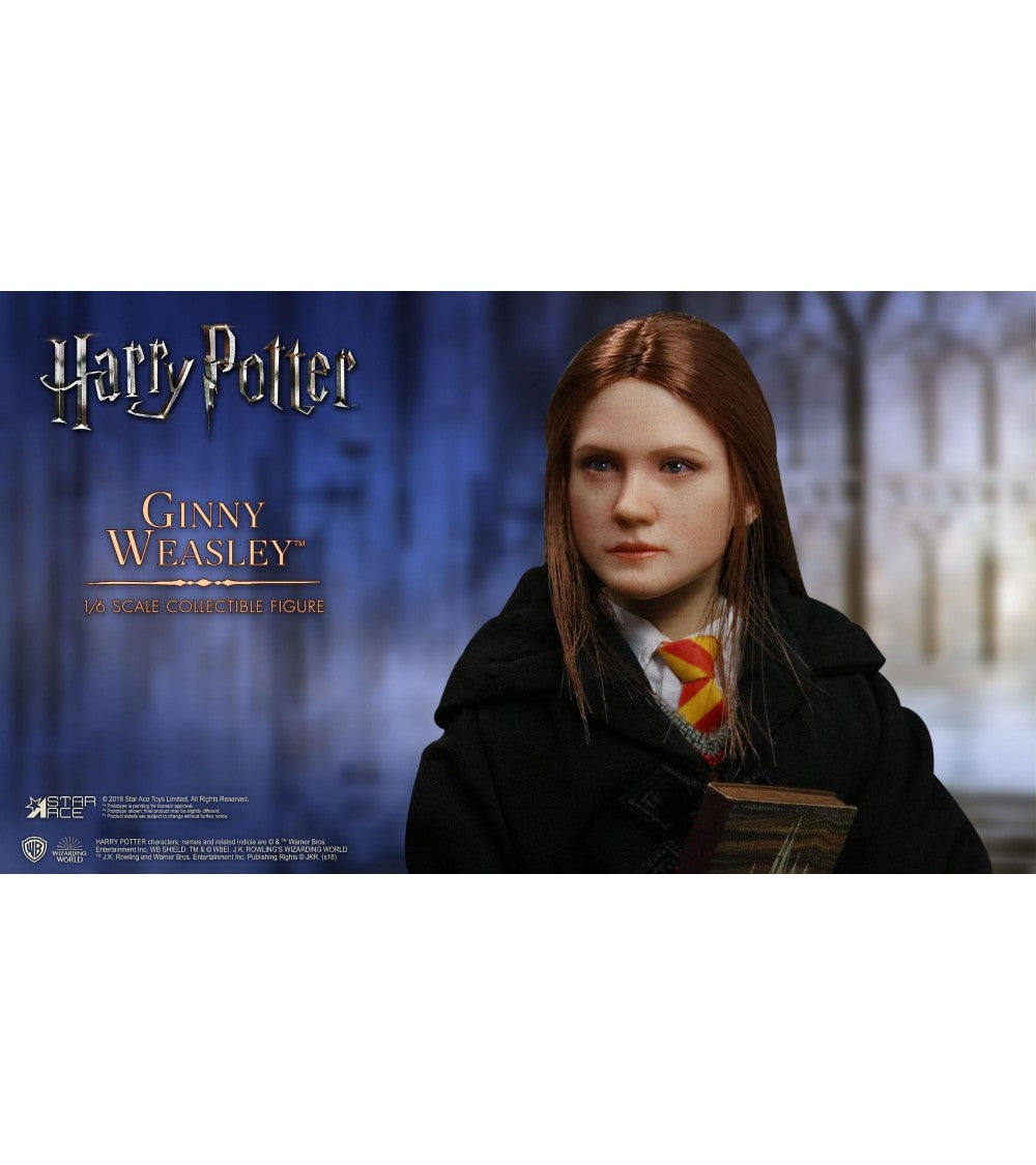 Harry Potter: Ginny Weasley 1:6