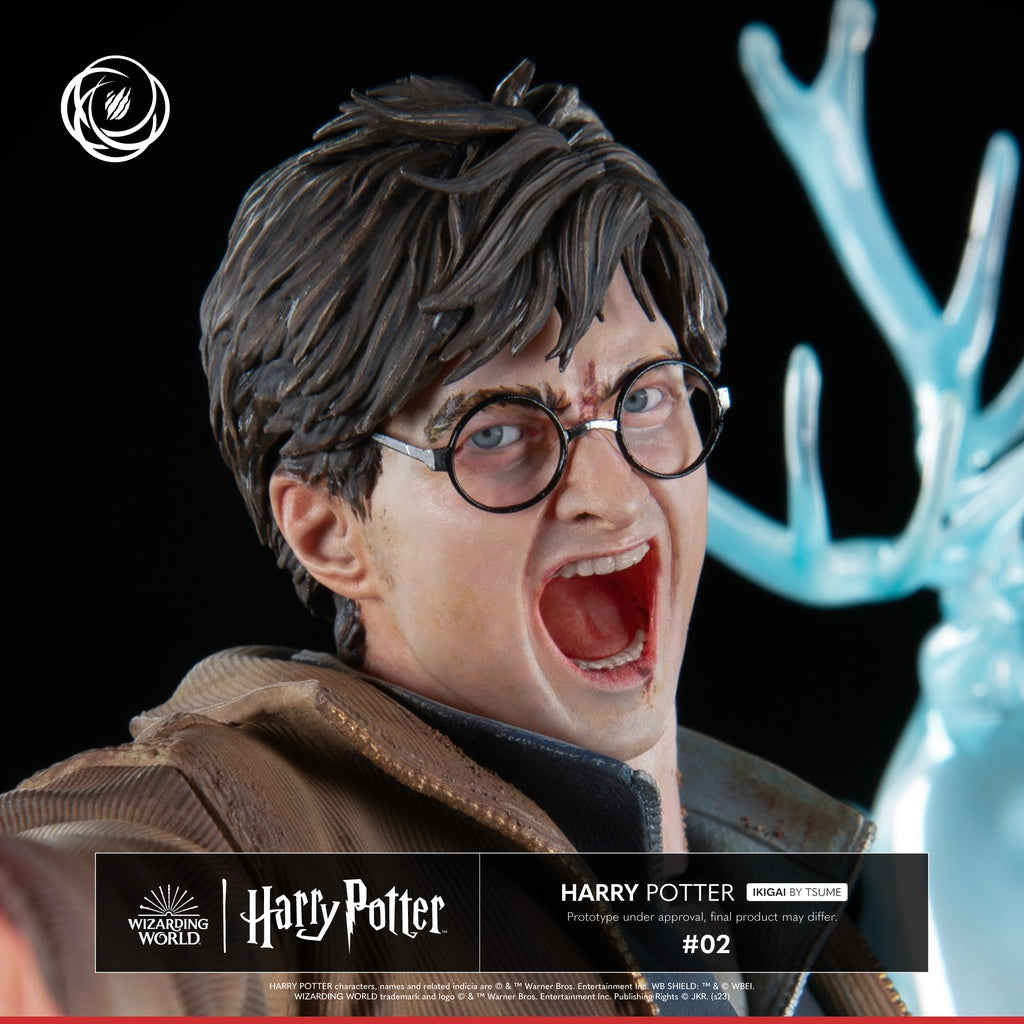 Harry Potter: Harry Potter 1/6 Statua IKIGAI Tsume