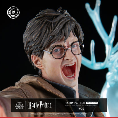 ---PREORDINE--- Harry Potter: Harry Potter 1/6 Statua IKIGAI Tsume