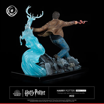 ---PREORDINE--- Harry Potter: Harry Potter 1/6 Statua IKIGAI Tsume