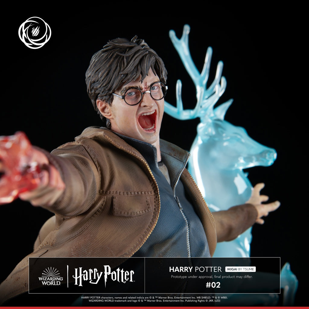 Harry Potter: Harry Potter 1/6 Statua IKIGAI Tsume