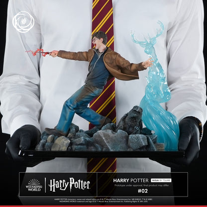 ---PREORDINE--- Harry Potter: Harry Potter 1/6 Statua IKIGAI Tsume