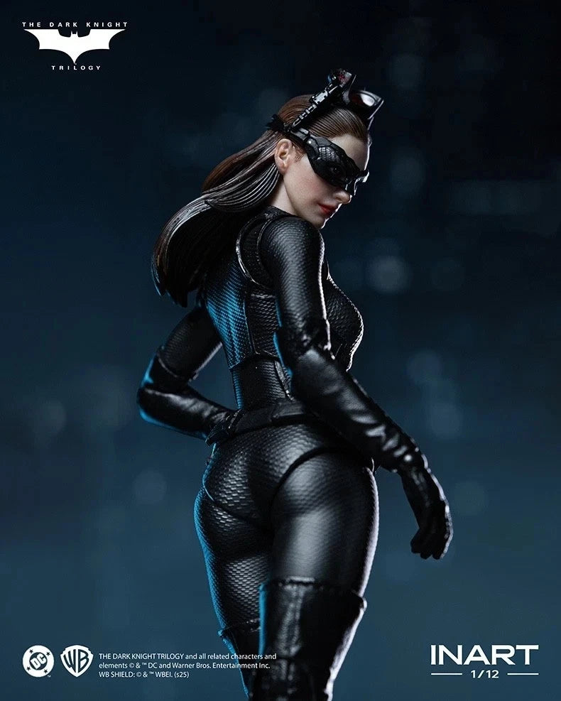 DC Comics Catwoman (the Dark Knight Rises) 1/12 Action Figure