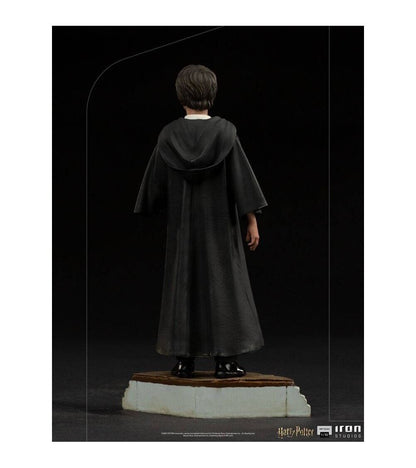 Harry Potter: Art Scale Statue 1/10 Harry Potter 17 cm